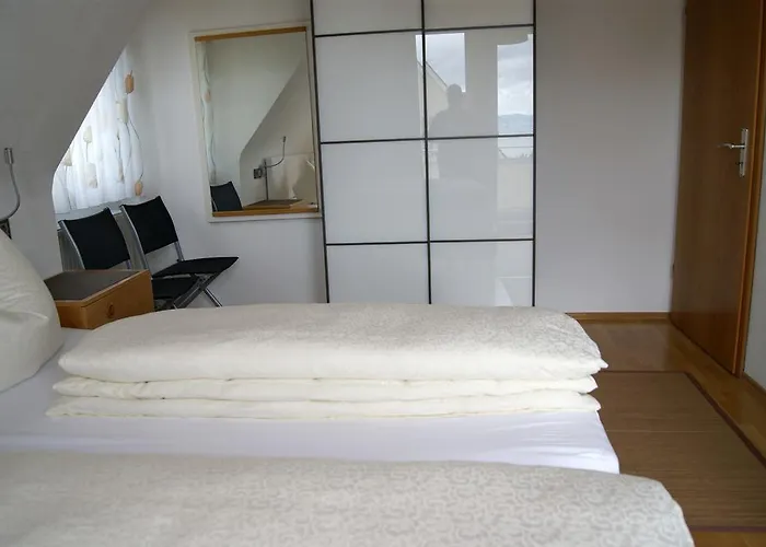 Haus Rebstein 3* 博登斯边的伊门施塔特