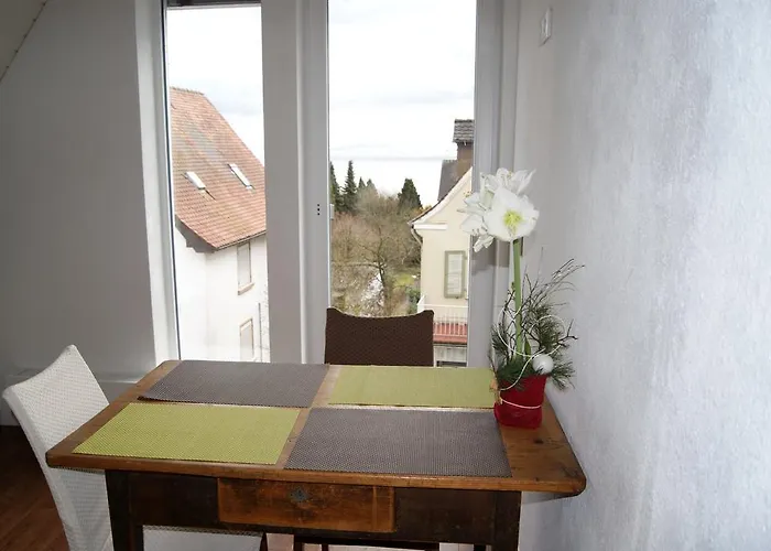 Haus Rebstein 招待所 3*