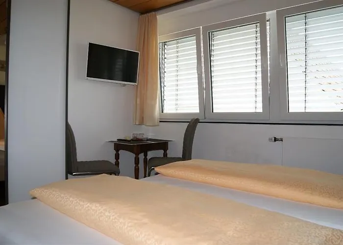 招待所 Haus Rebstein 3*